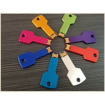 Metal negocio colorido clave forma USB Pendrive (em028)